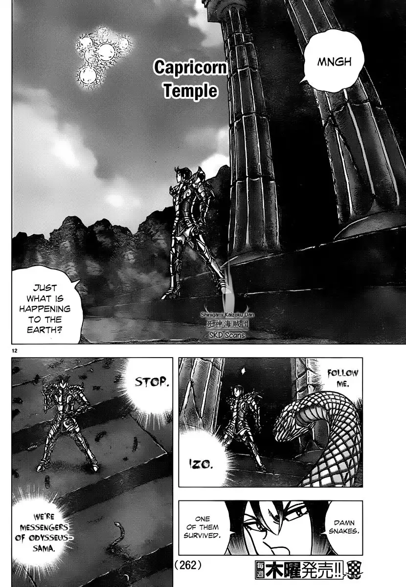 Saint Seiya - Next Dimension Chapter 74 12